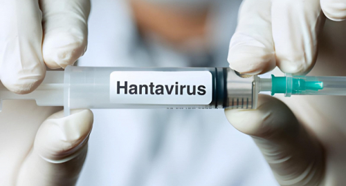 Hantavirus in crociera, focolaio contenuto dopo 13 casi